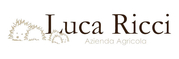 Luca Ricci - Logo